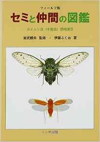 セミと仲間の図鑑